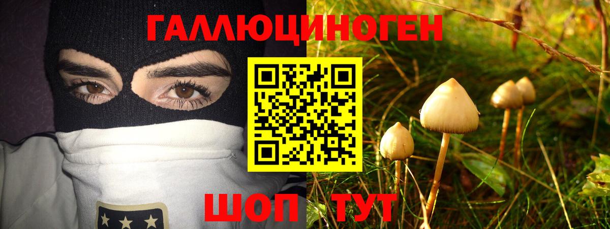 Галлюциногенные грибы Psilocybe  цена наркотик  Губкин  Вход с VPN 